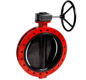 Rubber Double Flanged Butterfly Valve