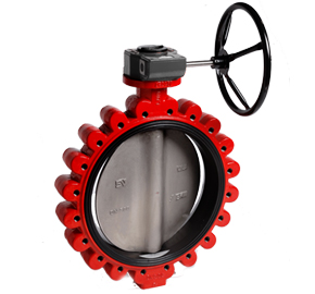 Rubber Lug Butterfly Valve