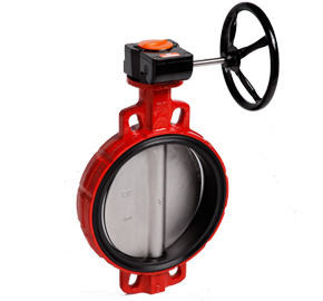 Rubber Wafer Butterfly Valve
